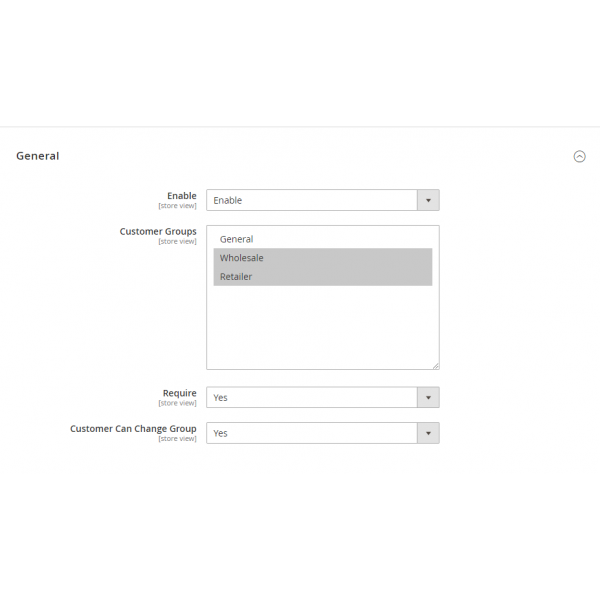Magento 2 customer group admin manage