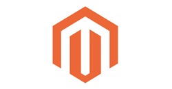 Magento 1 Custom Extension Development